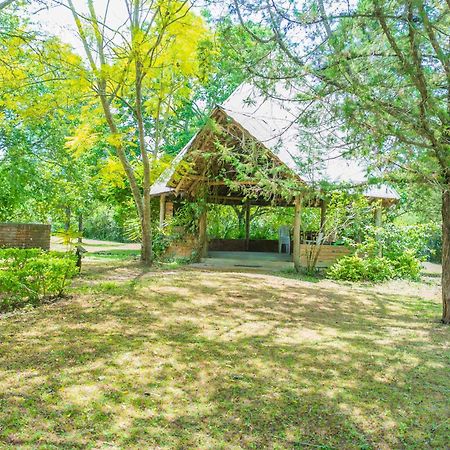 Meru Mbega Lodge Usa River Ngoại thất bức ảnh