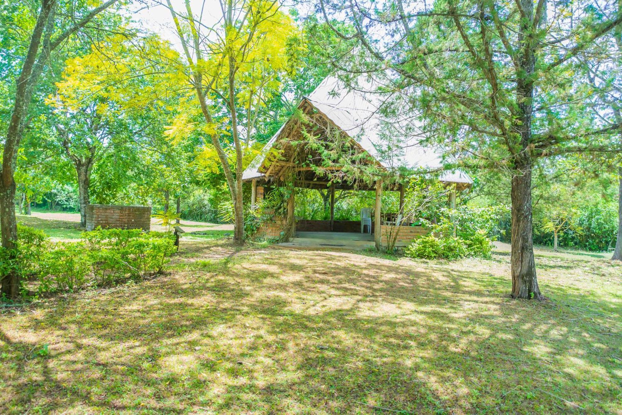 Meru Mbega Lodge Usa River Ngoại thất bức ảnh