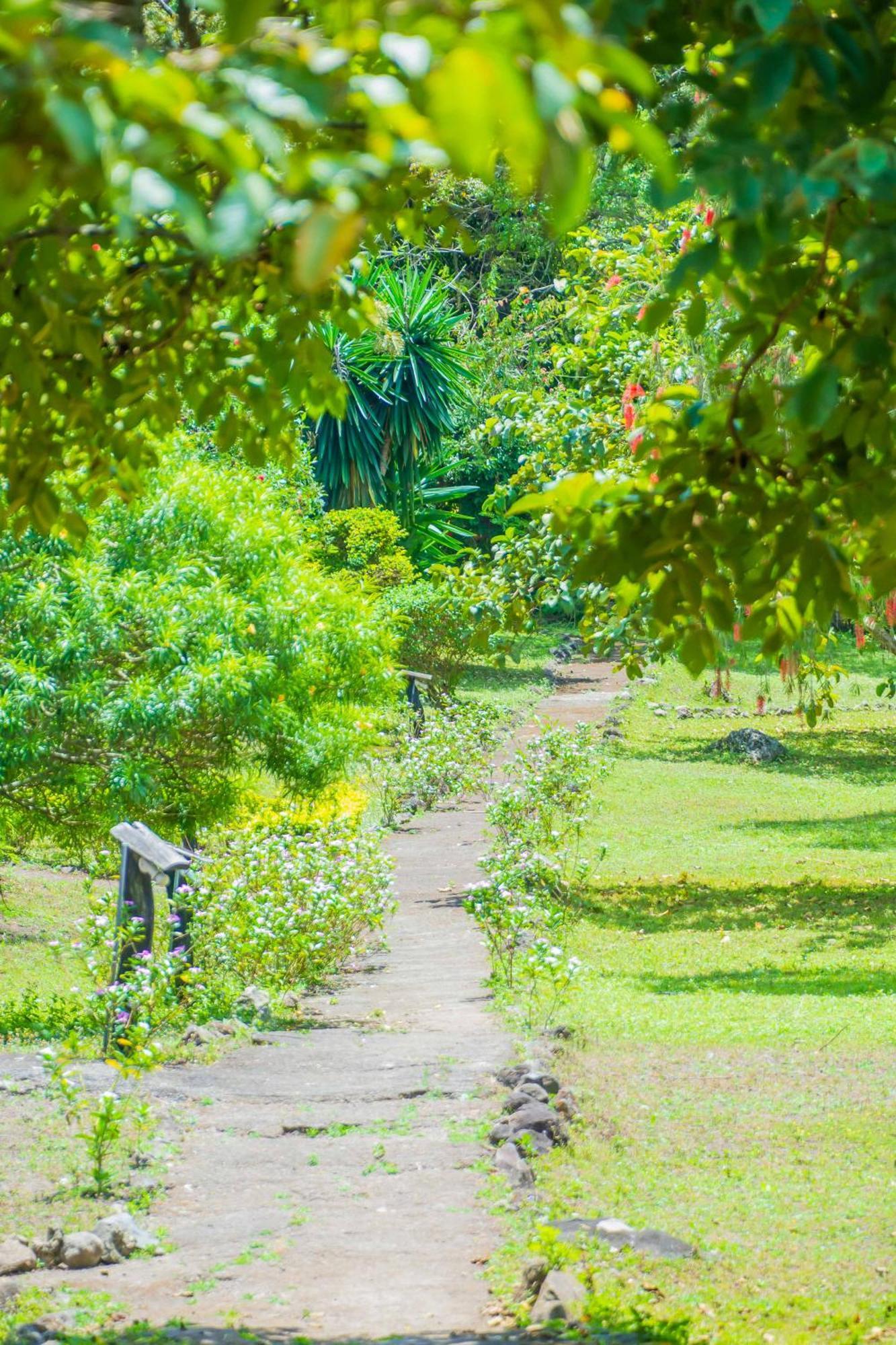 Meru Mbega Lodge Usa River Ngoại thất bức ảnh