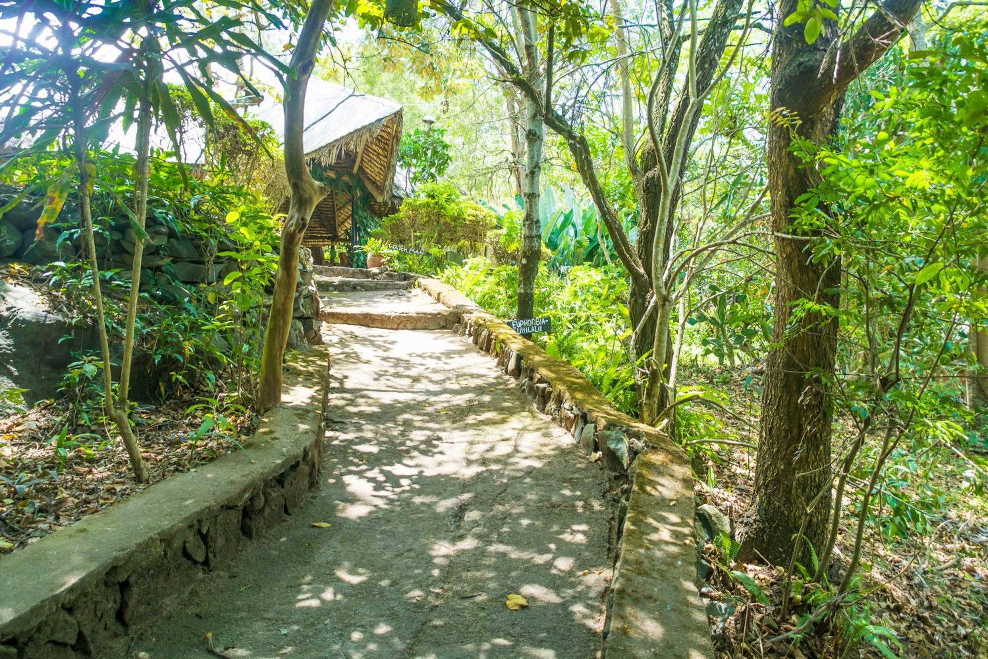 Meru Mbega Lodge Usa River Ngoại thất bức ảnh