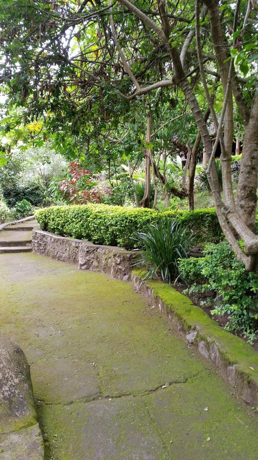 Meru Mbega Lodge Usa River Ngoại thất bức ảnh