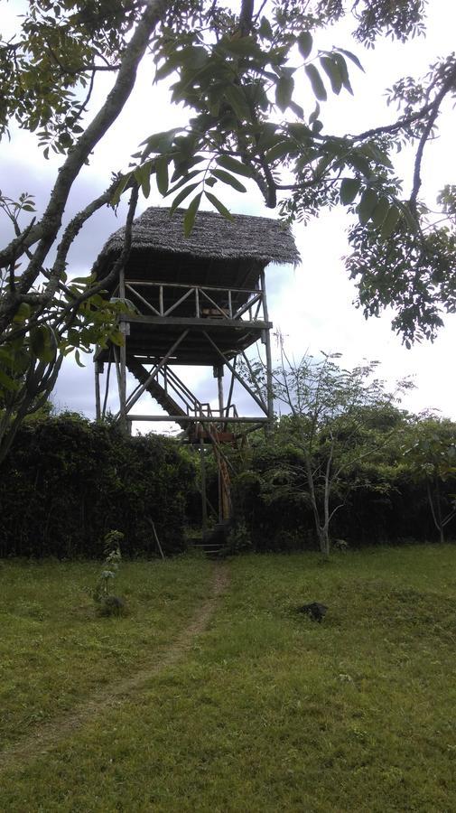 Meru Mbega Lodge Usa River Ngoại thất bức ảnh