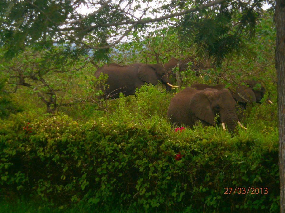 Meru Mbega Lodge Usa River Ngoại thất bức ảnh