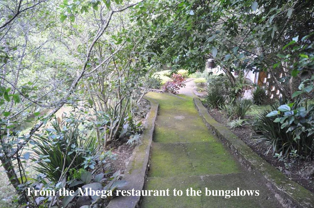 Meru Mbega Lodge Usa River Ngoại thất bức ảnh