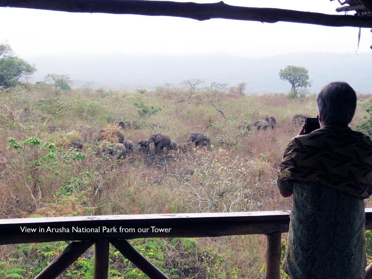 Meru Mbega Lodge Usa River Ngoại thất bức ảnh